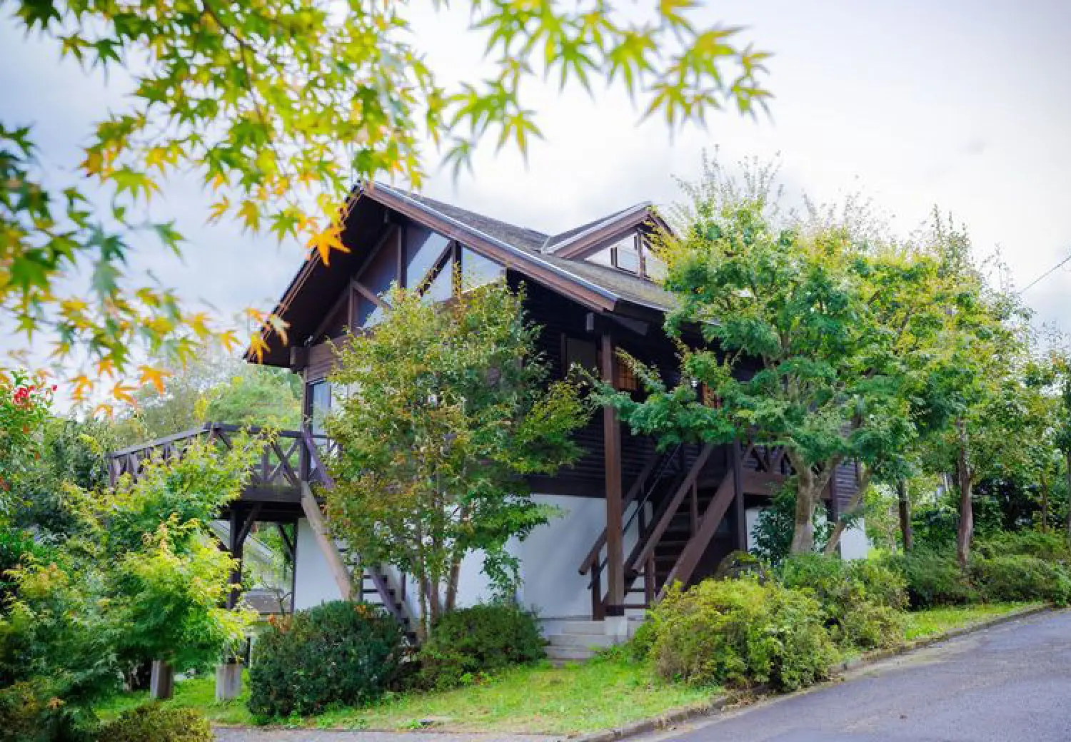 カルーセル画像