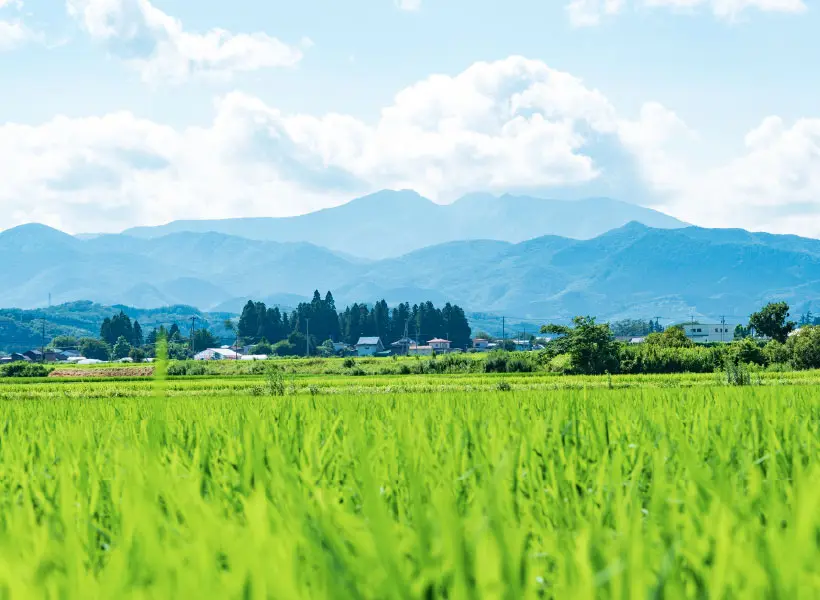 カルーセル画像