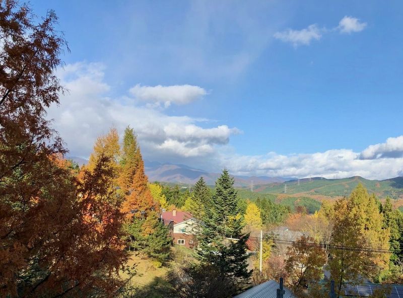 お部屋から見える景色