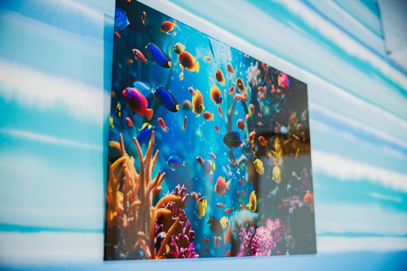 水中の世界を彩るポスター